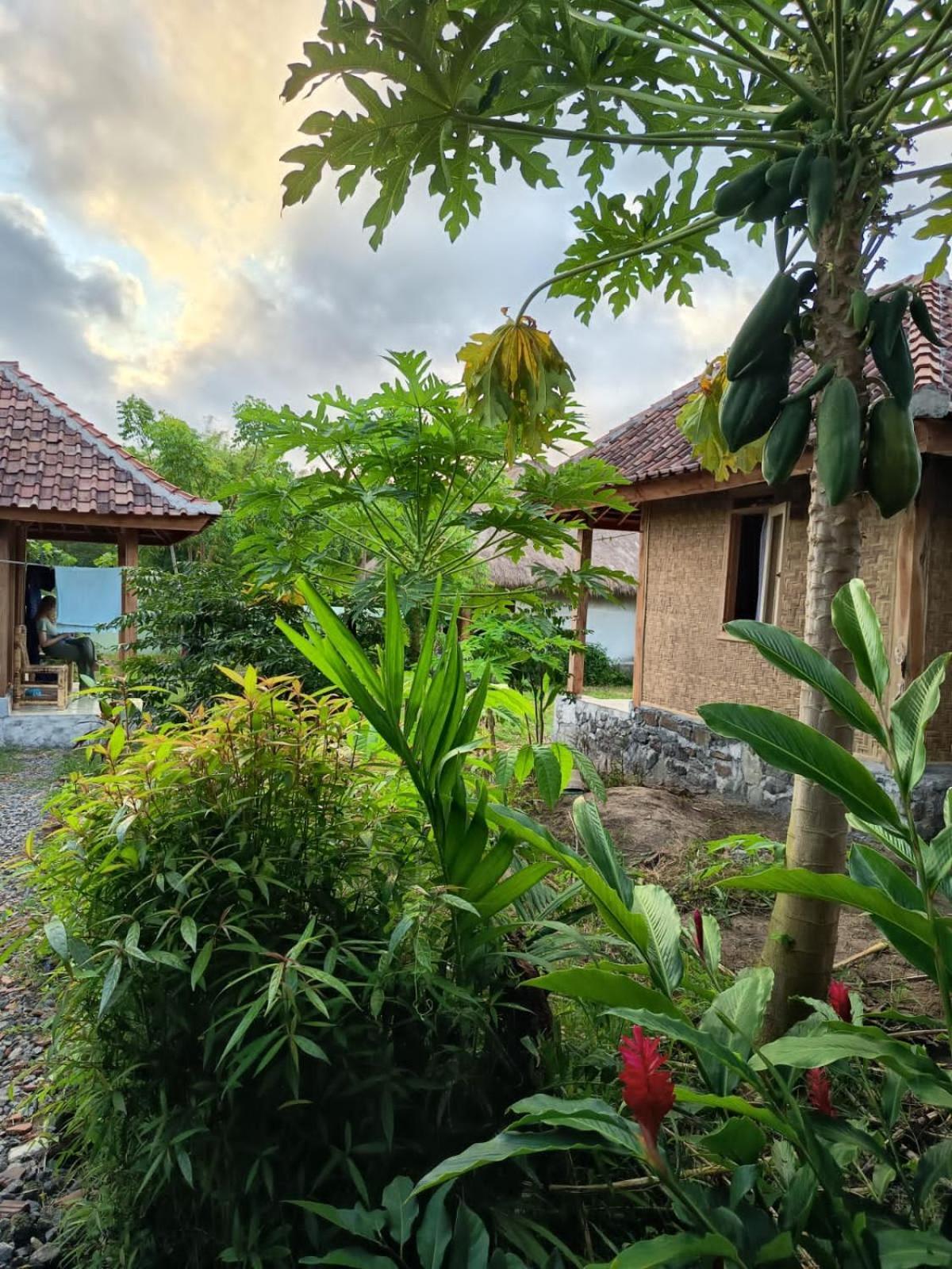 Melody Surf - Ekas Lombok Hotel ภายนอก รูปภาพ