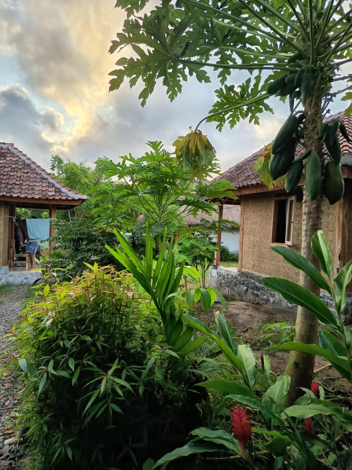 Melody Surf - Ekas Lombok Hotel ภายนอก รูปภาพ